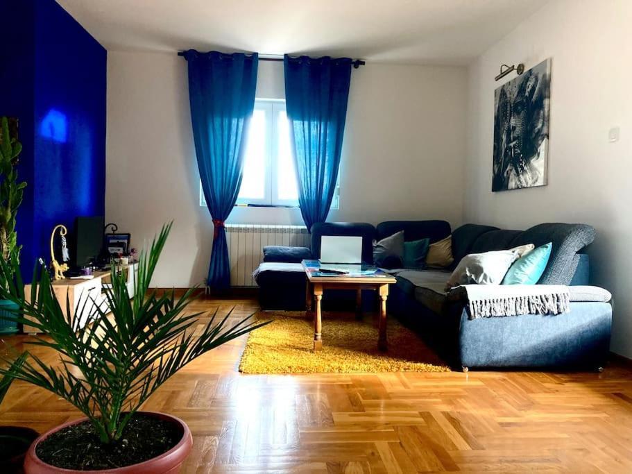 Amazing Memories Appartement Belgrado Buitenkant foto
